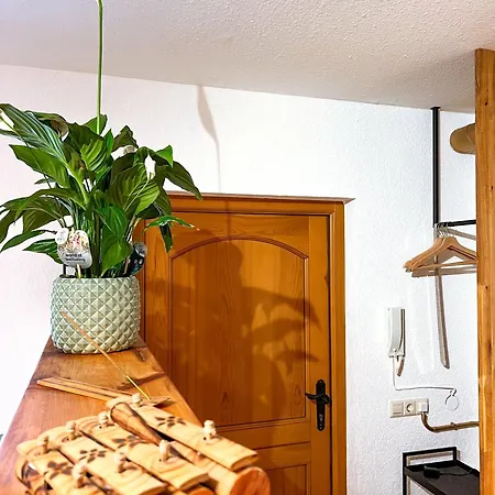 Cozy Vibes Appartamento *