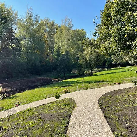 Cozy Vibes Apartment *