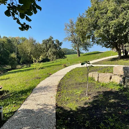 Cozy Vibes Apartment *